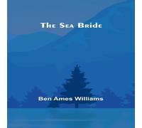 Ben Williams The Sea Bride Paperback Book Ben Williams Multicolor