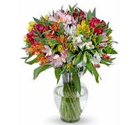 Benchmark Bouquets - 25 Stem Peruvian Lilies (Glass Vase Included) - Fresh Flowers for Delivery - Gift for Mother’s Day, Birthday, Anniversary, Sympathy, Get Well, Congratulations