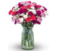 Benchmark Bouquets - Spring Mini Carnations - Fresh Flowers for Delivery - Mini Flowers - Easter Gifts for Women - Easter Decor - Spring Floral Arrangements - Glass Vase Included (20 Stems)