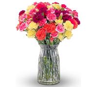 Benchmark Bouquets - Spring Mini Carnations - Fresh Flowers for Delivery - Mini Flowers - Easter Gifts for Women - Easter Decor - Spring Floral Arrangements - Glass Vase Included (20 Stems)