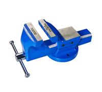 Benchmaster - 4'' (100mm) Sg Cast Iron Vice