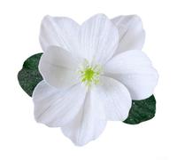 Bendable Folded Artificial Magnolia Flowers with Glittered Petals, Suitable for Christmas Tree and Various Home or Event Decoration Uses (White)