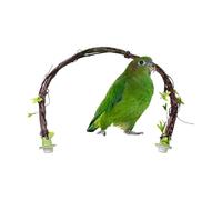 Bendable Resin Branch, Realistic Bird Perch, 25.6x1.2 Inches Cage Stand with Bolt, Waterproof Synthetic Vine Wood, Textured Habitat Pole with Metal Core, Enrichment Toy for Conures