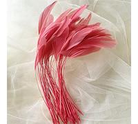 Bene Omnia Natural Loose Stripped Coque Feathers for Millinery & Fascinators Hat Making Headpiece Costume Dyed Rooster Feather 5-7" (#39 Coral,50PCS)