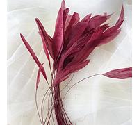 Bene Omnia Natural Loose Stripped Coque Feathers for Millinery & Fascinators Hat Making Headpiece Costume Dyed Rooster Feather 5-7" (#26 Burgundy,10PCS)