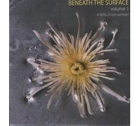 Beneath the Surface