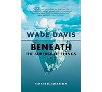 Beneath the Surface of Things : New and Selected Essays