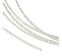 BENECREAT 0.5m/1.64 Feet 999 Sterling Silver Wire, 1.2mm/16 Gauge Dead Soft Flat Beading Wire, Craft Flat Silver Wire for Jewelry Making