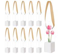 BENECREAT 12 Pcs Single Rose Flower Box Empty Bag, 5x5x24cm/2x2x9.3 Inch Clear Flower Packing Boxes Gift Boxes for Wedding Birthday Floral Arrangement Supplies, White