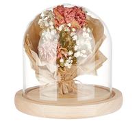 BENECREAT 12x12cm/5x5Inch Blanched Almond Glass Cloche, Wooden Display Dome Clear Glass Cloche Bell Jar for DIY Crafts & Table Decor