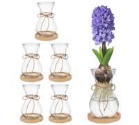 BENECREAT 6 Pcs Lamp Glass Vases for Flowers Forcing Hyacinth Avocado, Clear Decorative Lamp Vase with Round Coaster for Lovers Home Office Table Decoration