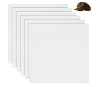 BENECREAT 6Pcs 30x30cm Plastic Brim Insert, Square Baseball Cap Visor Insert for DIY Repair Custom Brims, Craft Sewing