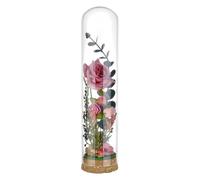 BENECREAT 6x26cm/2.4x10.2 Inch Glass Dome Cloche with Cork Base, Glass Dome Decorative Jars, Bell Jars for Flower, Plant, Miniature, Home Decoration
