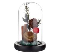 BENECREAT Glass Cloche Dome with Wood Base, 11.8x6.6cm/ 4.65x2.6inch Arch Display Dome for Plants and Collectibles, Complete Set Glass Bell Jar with Solid Wood Stand for Home Decor, Black