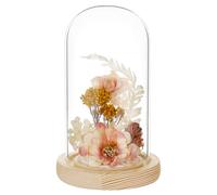 BENECREAT Glass Cloche Dome with Wood Base, 15.7x7.6cm/6.18x2.99inch Arch Display Dome for Plants and Collectibles, Complete Set Glass Bell Jar with Solid Wood Stand for Home Decor, Navajo White