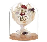 BENECREAT Glass Display Dome Cloche, 19x15cm Glass Bell Jar Display Dome Glass Decorative Jars with Cork Base for Flower Plants, Specimens, Crafts Decorations, ID: 14cm