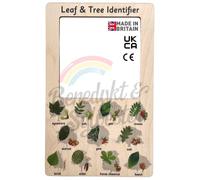 Benedykt & Sylvester Wooden Trees & Leaf Identifier Montessori Nature Outdoor Exploring Viewer Guide Children's Kids Learning Educational Homeschool