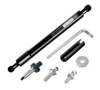 Beneges 2PCs Truck Tailgate Assist Kit for 2002-2009 Dodge Ram 1500 2500 3500 Pick Up Struts Shocks Dampers 43300