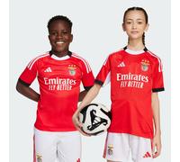 Adidas Benfica 25/26 Home Junior Short Sleeve T-shirt Red 13-14 Years Boys,Girls