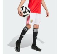 Benfica 25/26 Home Shorts