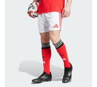 Benfica 25/26 Home Shorts
