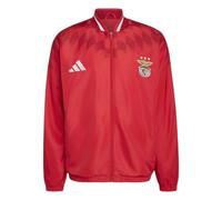 Benfica Lisbon Tracksuit 2026/27 Rouge M