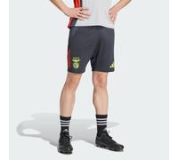 Benfica Tiro 24 Competition Training Shorts