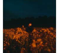 Benjamin Francis Leftwich : Some Things Break CD (2024) NEW Amazing Value
