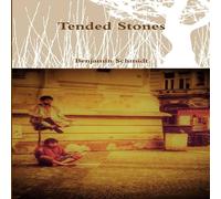 Benjamin Schmidt Tended Stones Paperback Book Benjamin Schmidt Multicolor