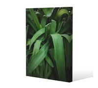 Benjamin Tate Design Atmospheric Background, Selective Focus Slim Style Canvas Print 20X30Cm , 15mm Slim Real Wood.