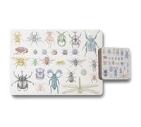 Benjamin Tate Design big set of insects bugs beetles & bees many species in vintage old hand drawn style placemat coaster set in Natural Benjamin Tate Design Natural