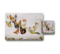 Benjamin Tate Design Butterfly Garden Placemats And Coaster Set With Fairy Illustration