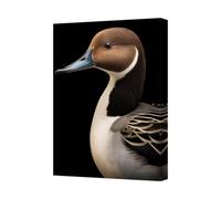 Benjamin Tate Design Canvas Wall Art Mallard Duck Portrait On Black Background