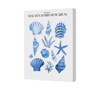 Benjamin Tate Design Canvas Wall Art Ocean Shells Malacia Maris Muscarum Series