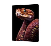 Benjamin Tate Design Close Up Red Snake Canvas Print Wall Art With Black Background
