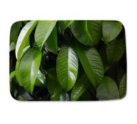Benjamin Tate Design Closeup of beautiful glossy green leaves Designer Bathmat Benjamin Tate Design Green