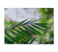 Benjamin Tate Design Closeup Of Green Palm Leaf Designer Glass Chopping Board