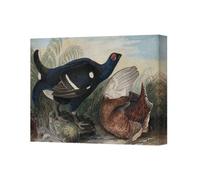 Benjamin Tate Design Colorful Duck Canvas Wall Art Print 3060 Wildlife Artwork