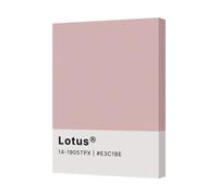 Benjamin Tate Design Contemporary Pink Lotus Canvas Art Print Gallery Wrapped