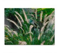 Benjamin Tate Design Decorative Cat Tail Grass Growing Along A Walkway Designer Glass Chopping Board