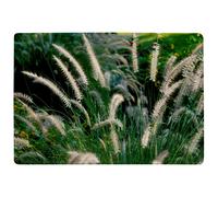 Benjamin Tate Design Decorative Cat Tail Grass Growing Along A Walkway Designer Rug in Natural | Size: Large Benjamin Tate Design Natural Large