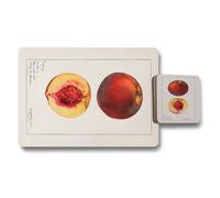 Benjamin Tate Design Designer Artwork Placemat And Coaster Set With Wood Bottom From The Designer Artwork Collection Limited Edition