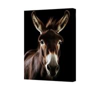 Benjamin Tate Design Donkey Portrait Canvas Wall Art Black Background High Definition