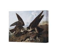 Benjamin Tate Design Falcon Battle On Rocky Landscape Canvas Print Wall Art