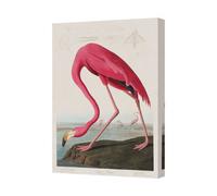 Benjamin Tate Design Flamingo Canvas Wall Art Print Ocean Beach Decor Giclee