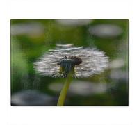 Benjamin Tate Design Fluffy Flower Designer Glass Chopping Board
