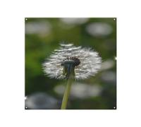 Benjamin Tate Design Fluffy Flower Designer Splash Back Designer Style