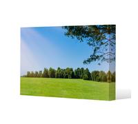 Benjamin Tate Design Grass Field With Forest Trees And Environment Public Park With Sun Rays Slim Style Canvas Print 60X90Cm , 15mm Slim Real Wood.