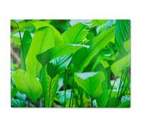 Benjamin Tate Design Green leaf background abstract of nature Designer Glass Chopping Board in Natural Benjamin Tate Design Natural