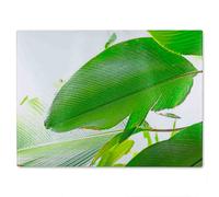 Benjamin Tate Design Green Leaf Glass Chopping Board in Natural Benjamin Tate Design Natural